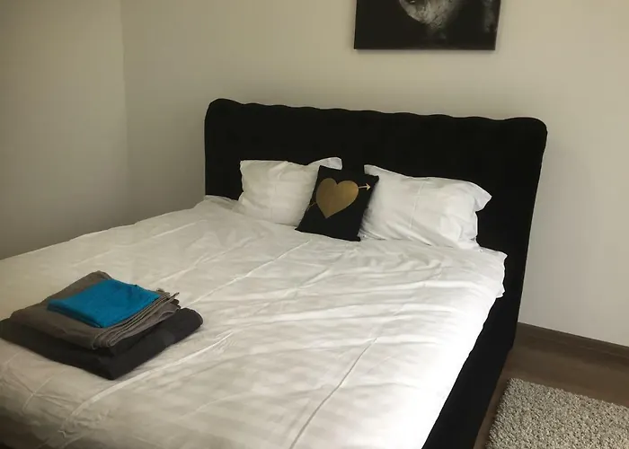 Ioan Popasu Apartment