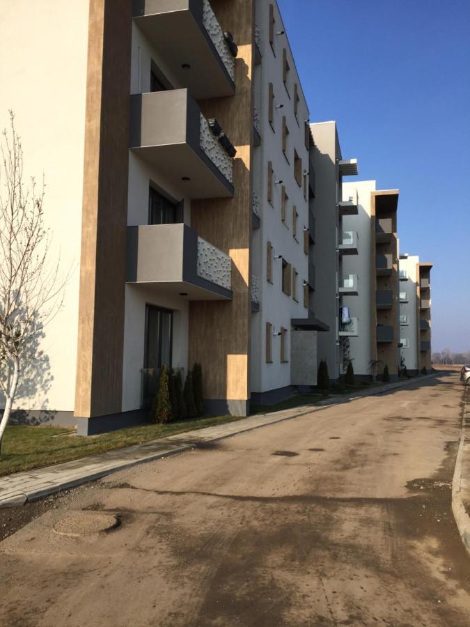 Ioan Popasu Apartment *
