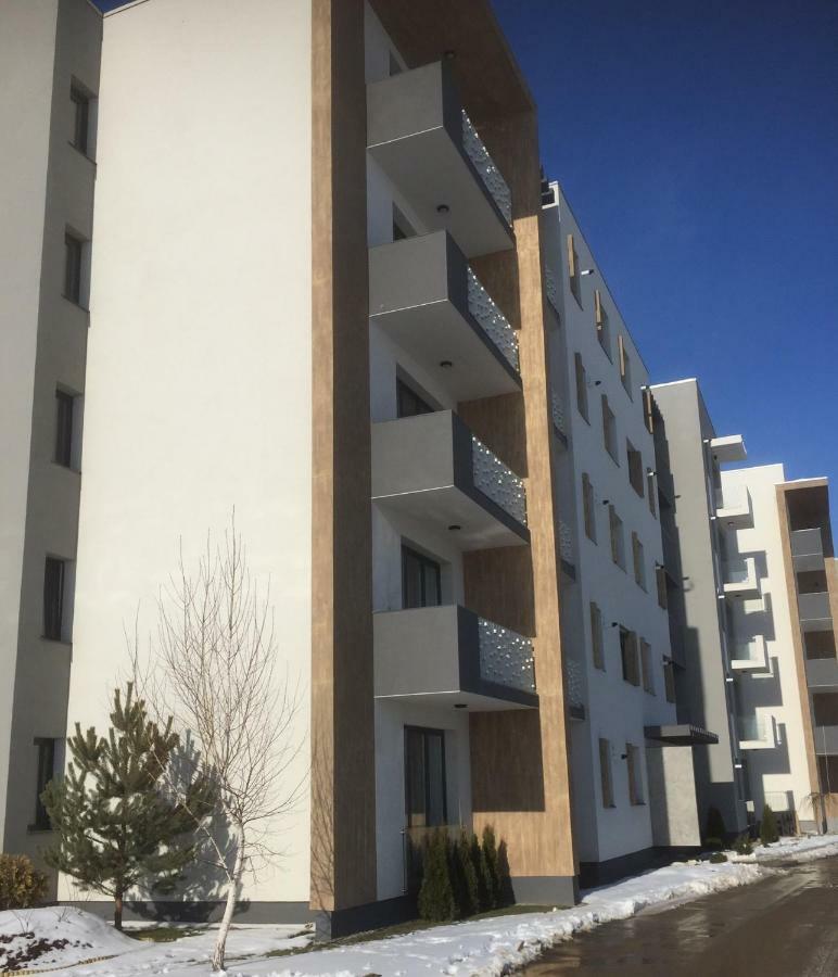 Ioan Popasu Apartment